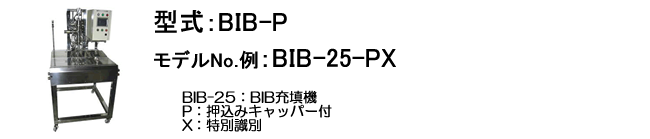 BIB-P^\