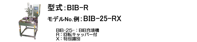 BIB-R^\